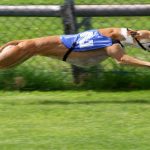 Irish Greyhound Board Gets Behind Responsible Gambling